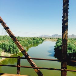 View of trees against clear sky