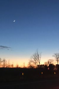 Silhouette bare trees on field against clear sky at night