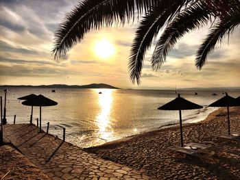 Palm trees on beach at sunset