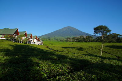 Mount dempo sumatera
