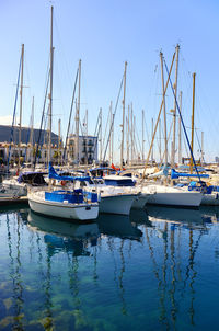 Sailboats moored in harbor