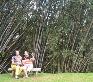 Mother and daughter sitting on bench against trees