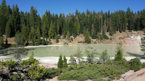 Scenic view of lake by trees in forest against sky