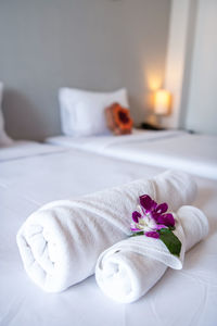 Close-up of white flower on bed