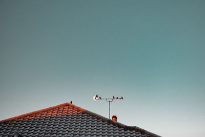 Birds, moon, roof, tv antenna