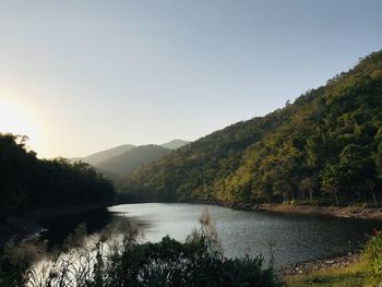 Scenic view of river amidst trees against clear sky