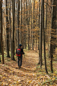 A man hiking in autumn forest