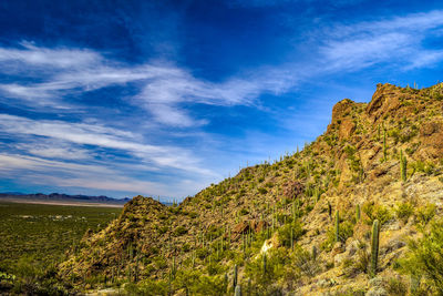 Scenic view of landscape against blue sky