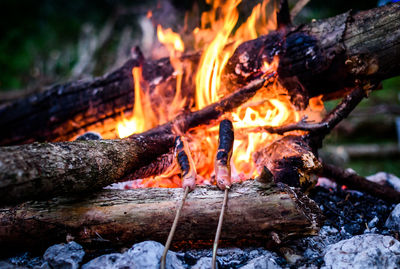 Close-up of bonfire at night