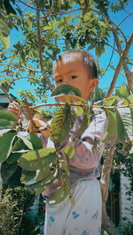 Portrait of cute boy by leaves on tree