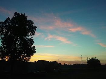 Silhouette of trees at sunset