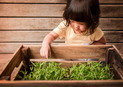 Close-up of baby girl by plants in wooden crate