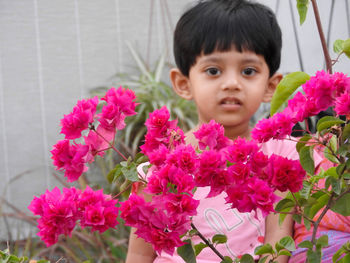 Close-up portrait of pink flowering plants