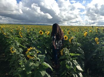 Rear view of woman standing on sunflower farm