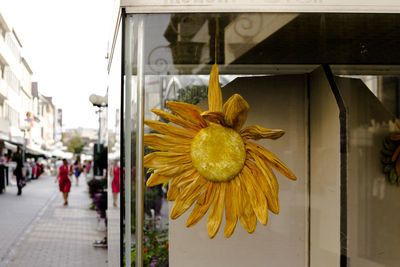 Close-up of flowers on street