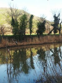 Reflection of trees in lake against sky