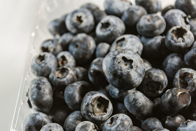 Close-up of blueberries