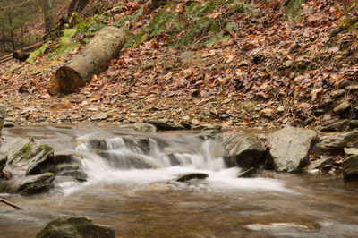 Scenic view of waterfall