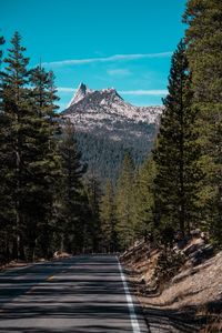 Road amidst trees and mountains against sky