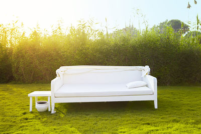 Empty chair in lawn