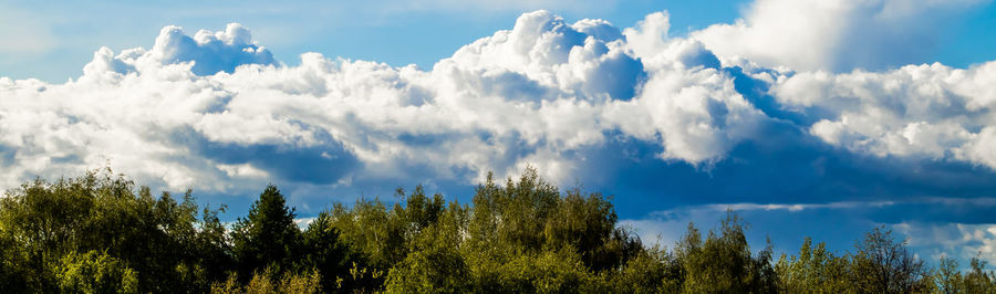 Panoramic view of trees against sky