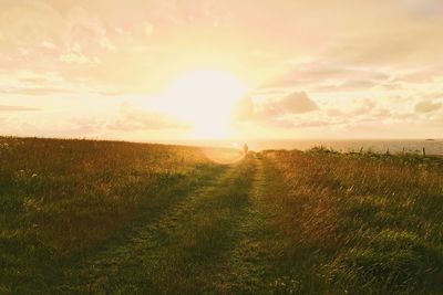 Scenic view of field against sunset sky