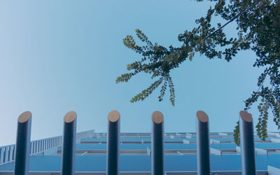 Low angle view of trees against clear blue sky