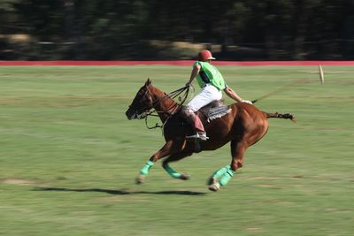 Man playing polo on field