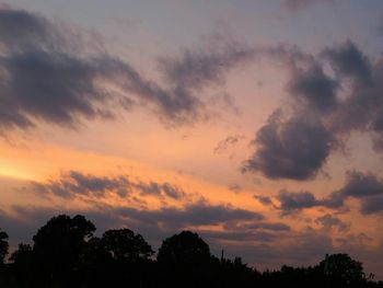 Low angle view of trees against sky at sunset