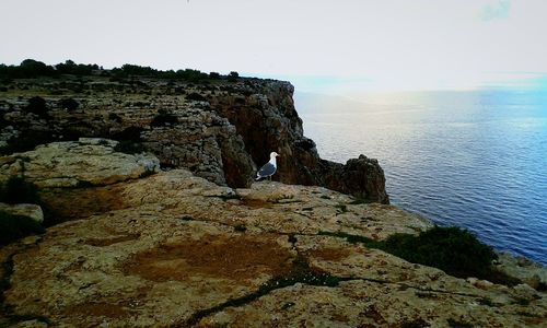 Rock formations in sea