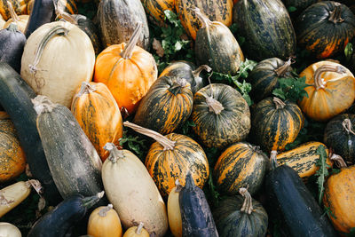 High angle view of pumpkins for sale at market