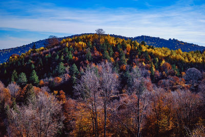 Beautiful autumn landscapes in the romanian mountains