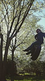 Woman standing on tree trunk