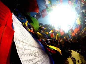 Multi colored flowers