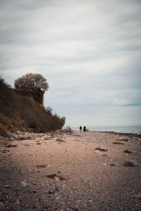 Dog by sea against sky