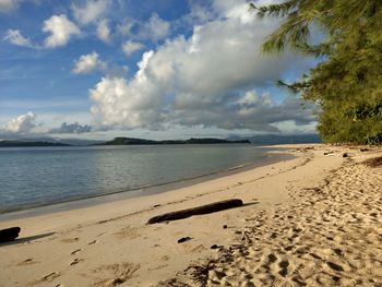 Scenic view of beach against sky