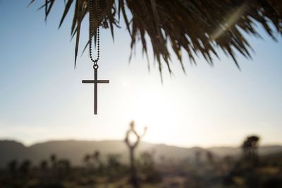 Low angle view of chain with cross hanging from palm tree