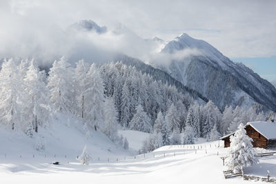 
winter in mountains. an amazing winter scenery with a lot of snow. white christmas concept