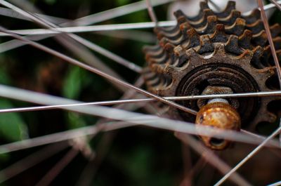 Detail shot of spokes