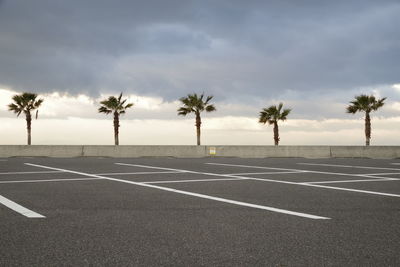 Empty parking lot by palm trees against cloudy sky