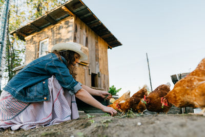 Rural scene, female farmer distributing fresh greens to chickens, organic feed