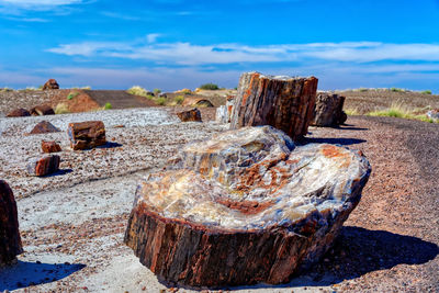 Wood on rock against sky