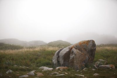 Rocks on field against sky