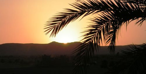 Silhouette palm trees against sky during sunset