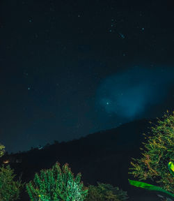 Low angle view of tree against sky at night