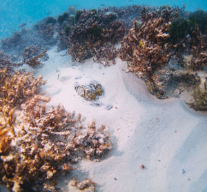 High angle view of sea