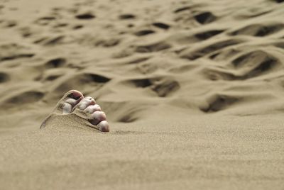 Low section of person relaxing on sand