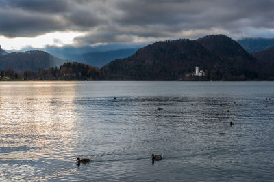 Island in lake bled. dreamlike atmosphere for the church of s. maria assunta. slovenia