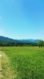 Scenic view of landscape against clear sky