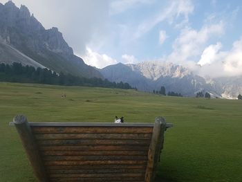 View of horse on field against mountain range